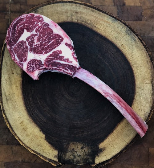 TOMAHAWK HOLSTEIN